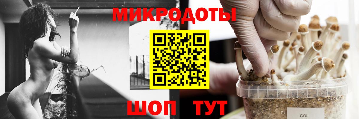 Москва  Псилоцибиновые грибы прущие грибы  Псилоцибиновые грибы мицелий  Вход с VPN 